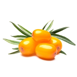 Homoktövis őrlemény (100 g)