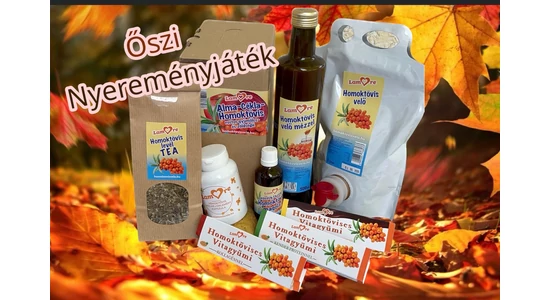 Novemberi nyereményjáték szabályzat