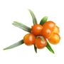  Homoktövis hús-héj őrlemény - 120 g