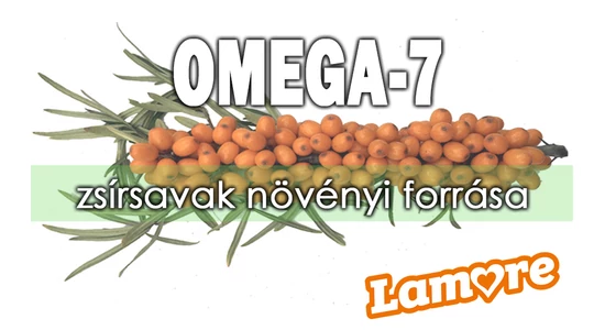 Omega-7 zsírsavak kimagasló növényi forrása a homoktövis